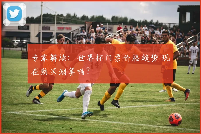 专家解读:世界杯门票价格趋势 现在购买划算吗?