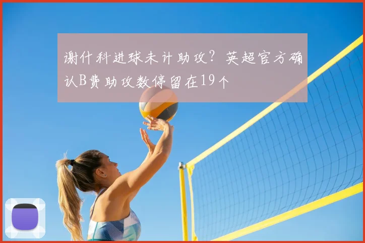 谢什科进球未计助攻？英超官方确认B费助攻数停留在19个